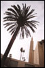 Taryn & Kyle #1-04