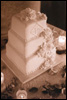 Kristi & Daryn #6-22