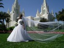IMGP0868