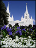 San Diego Temple 20040228 041